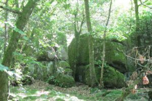 Pierres N°7 blocs et pierres à bassins sur la colline de Saulce d'Aigues H-1
